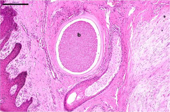 Fig. 2