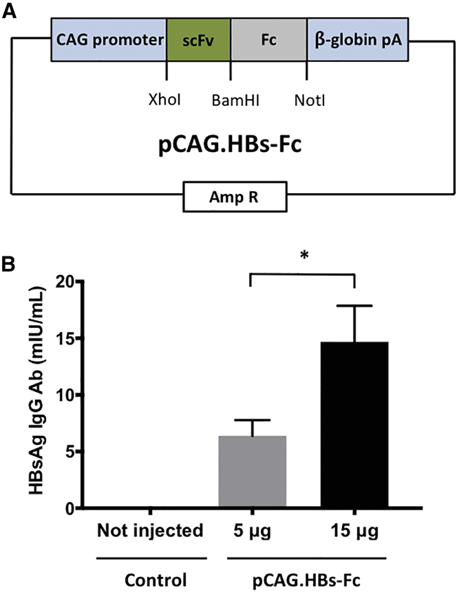 Figure 1