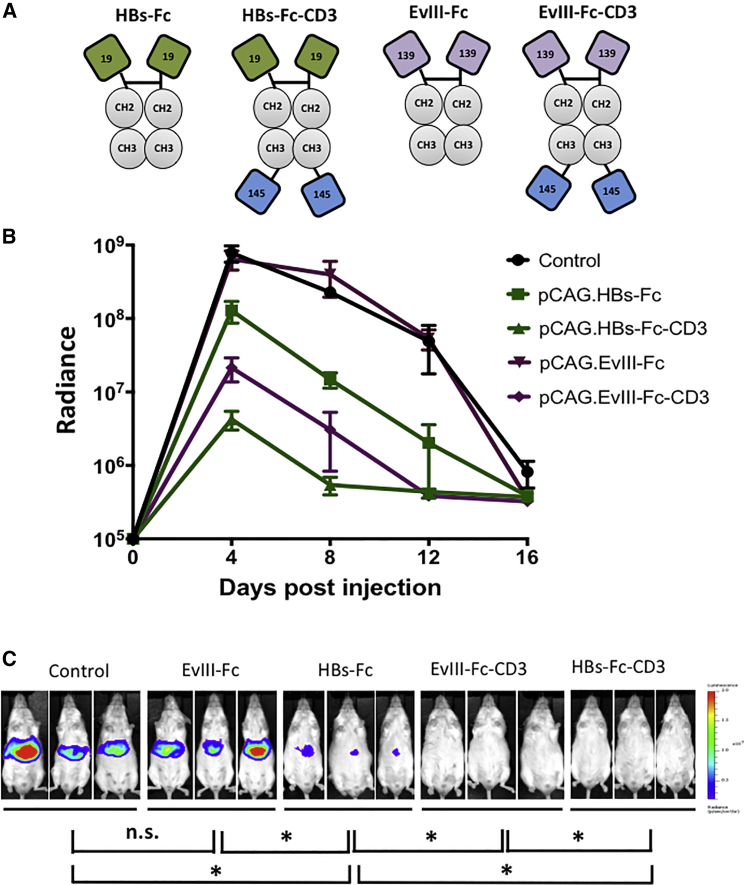 Figure 3