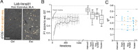 Figure 5—figure supplement 1.