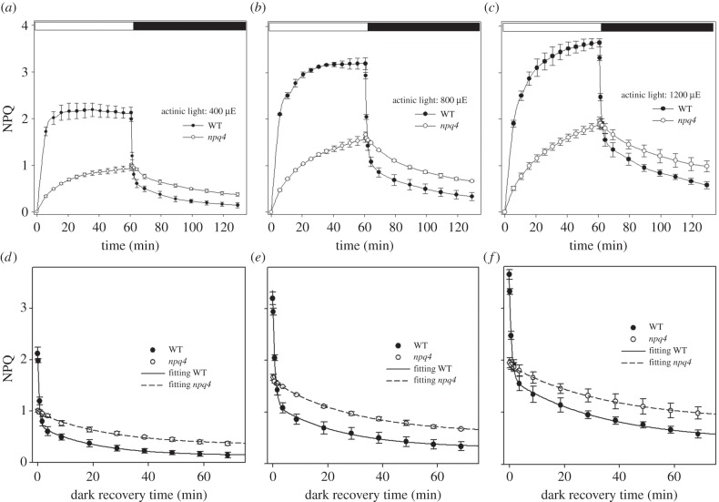 Figure 1.