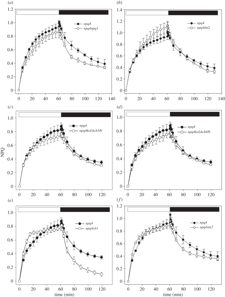 Figure 3.