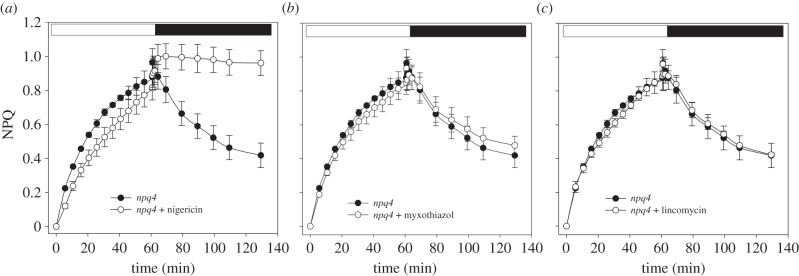 Figure 2.