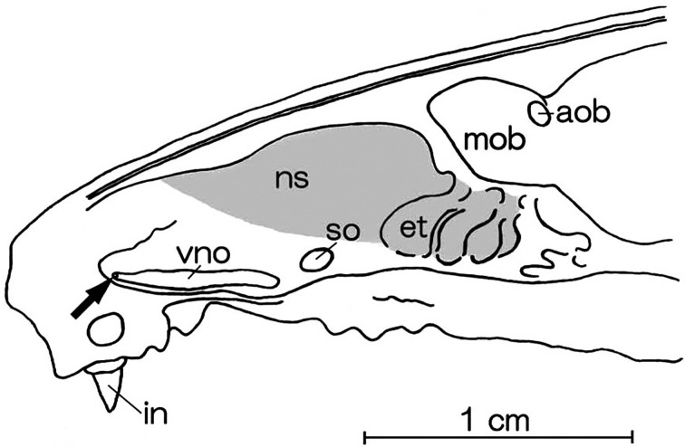 Fig. 2.