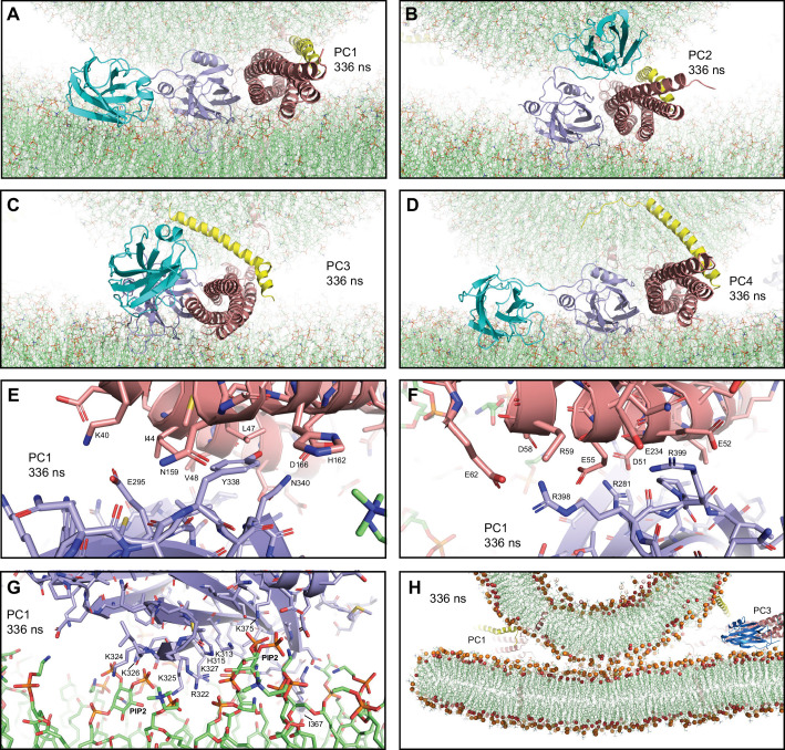 Figure 4.