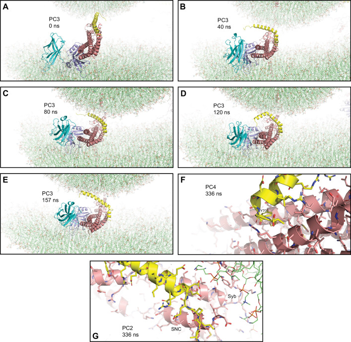 Figure 3—figure supplement 2.