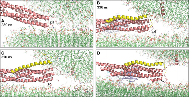 Figure 6.