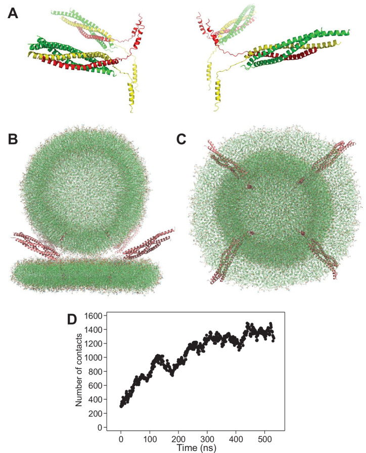 Figure 2—figure supplement 1.