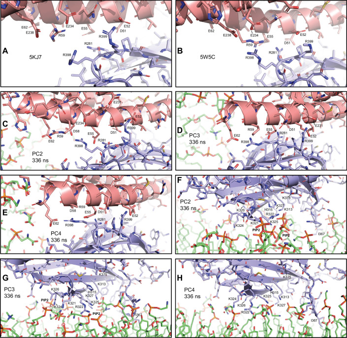 Figure 4—figure supplement 1.