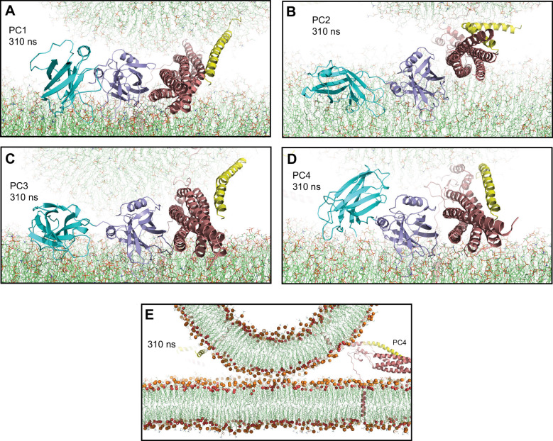 Figure 4—figure supplement 3.