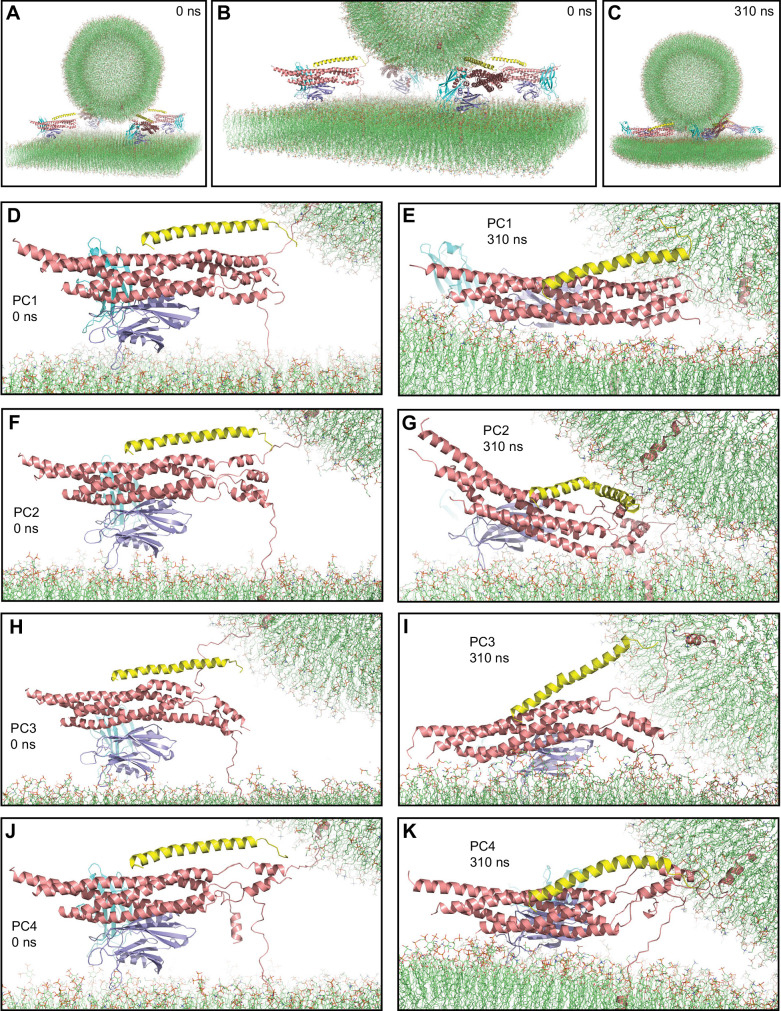 Figure 4—figure supplement 2.