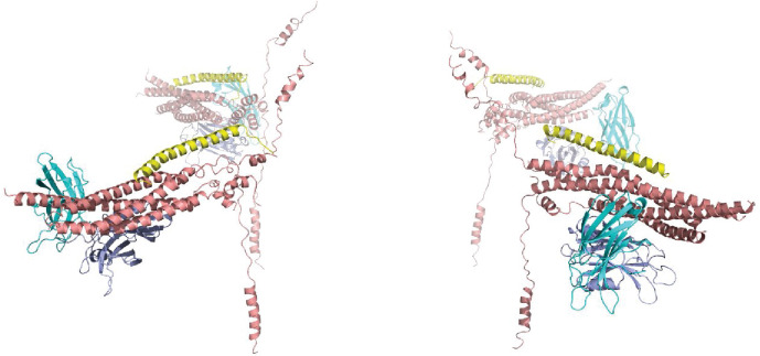 Figure 3—figure supplement 1.