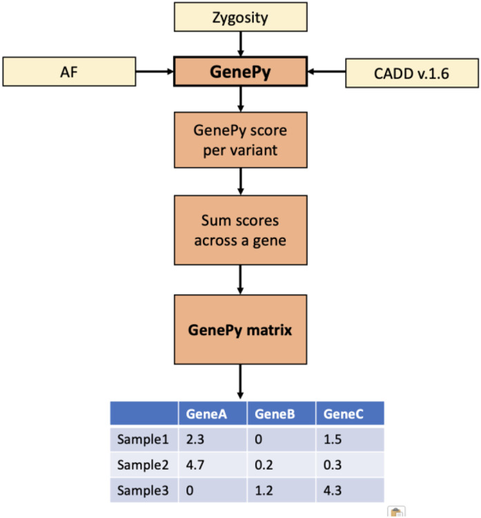 Figure 1 ∣