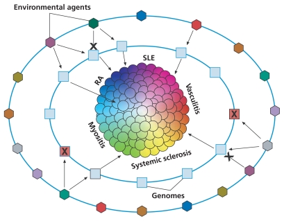 Gene–Environment Interactions and Autoimmune Disease: One Hypothesis