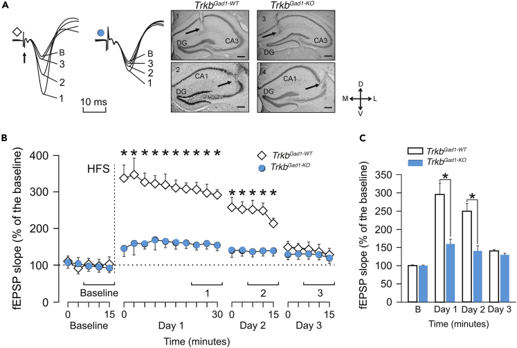 Figure 6