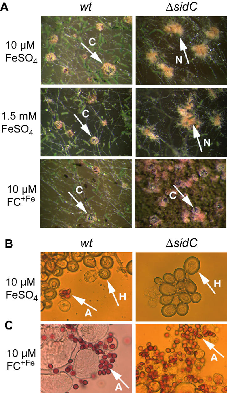 FIG. 6.