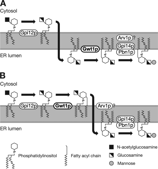 FIGURE 1.