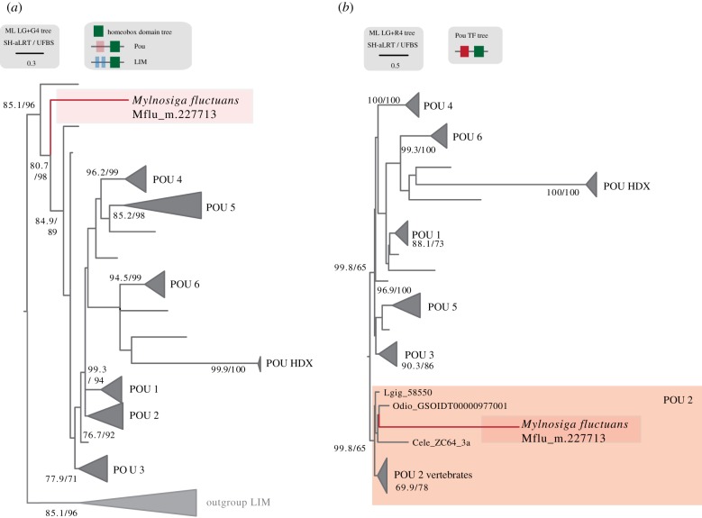 Figure 5.