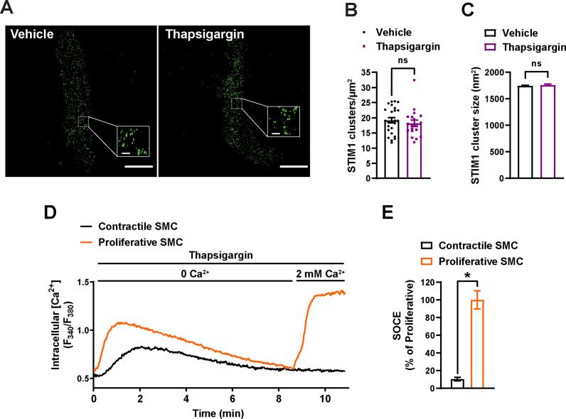 Figure 1—figure supplement 3.