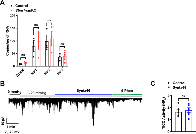 Figure 7—figure supplement 2.