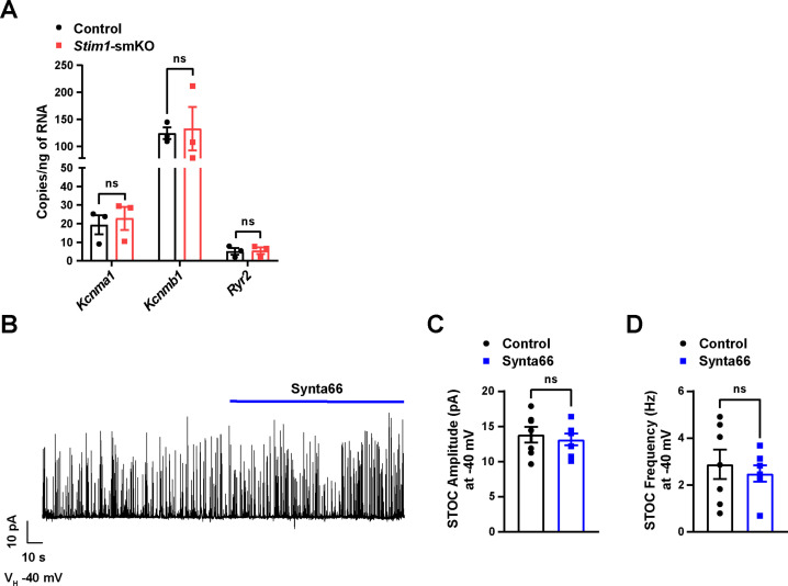 Figure 7—figure supplement 1.