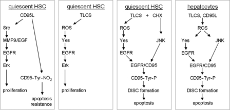 FIGURE 10.