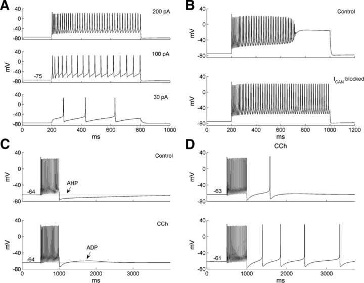 Figure 3.