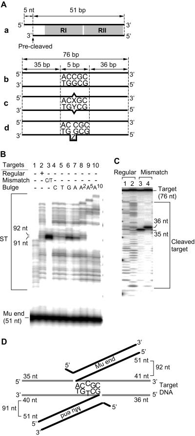 Fig 1.