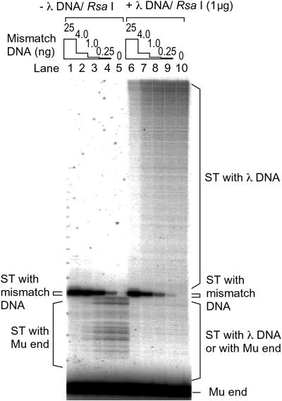 Fig 3.