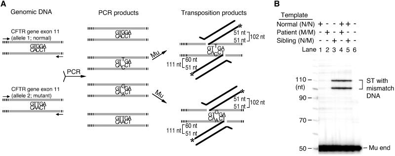 Fig 4.