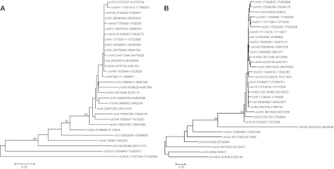 FIG. 2.—