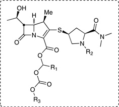 graphic file with name nihms484756t1.jpg