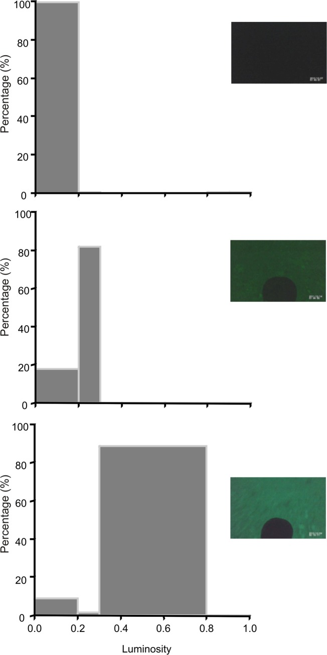 Fig 5