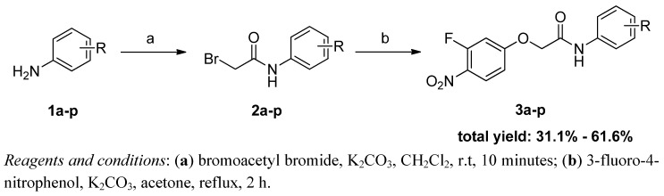 Scheme 1