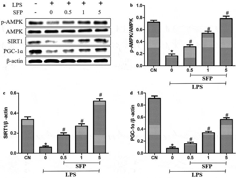 Figure 6.