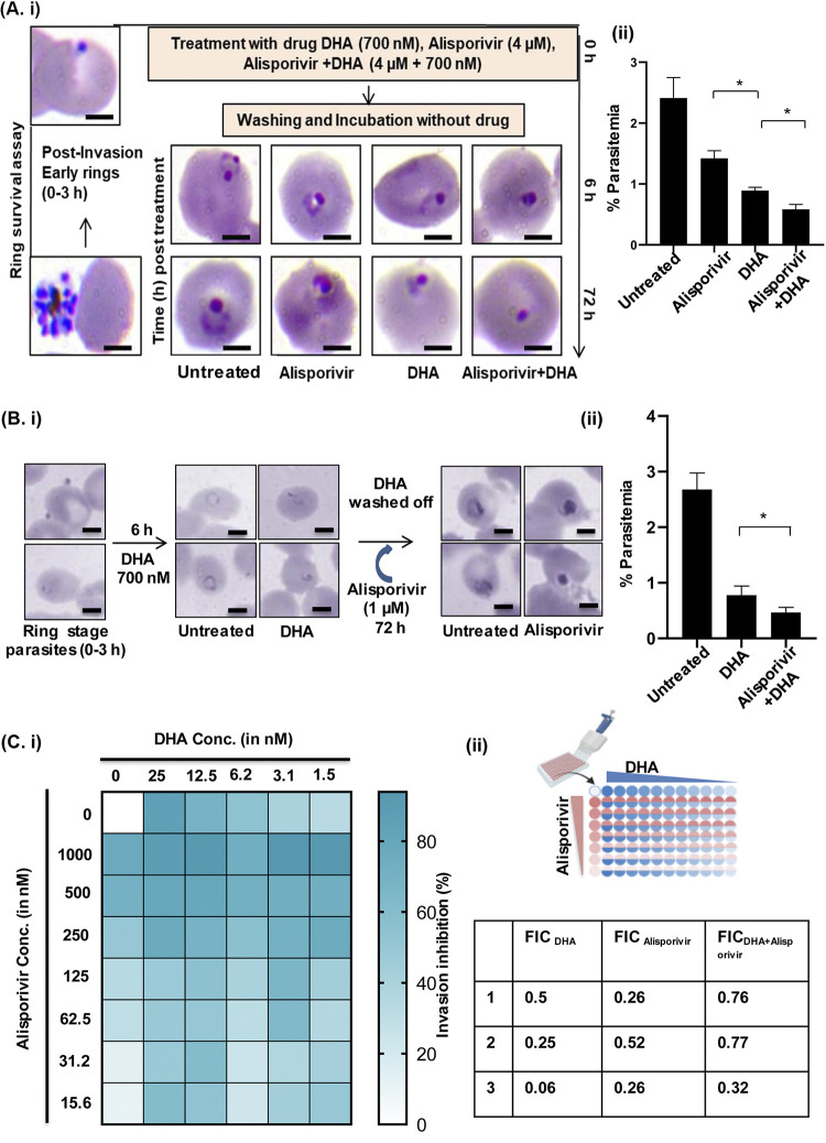 FIG 6