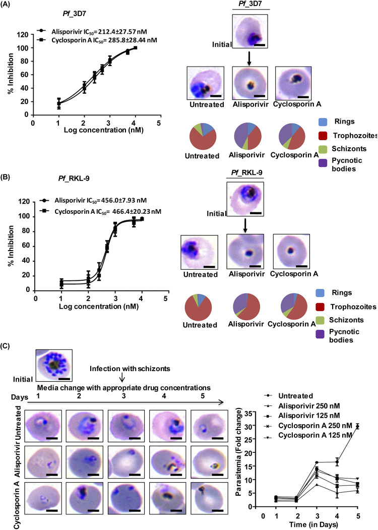 FIG 3