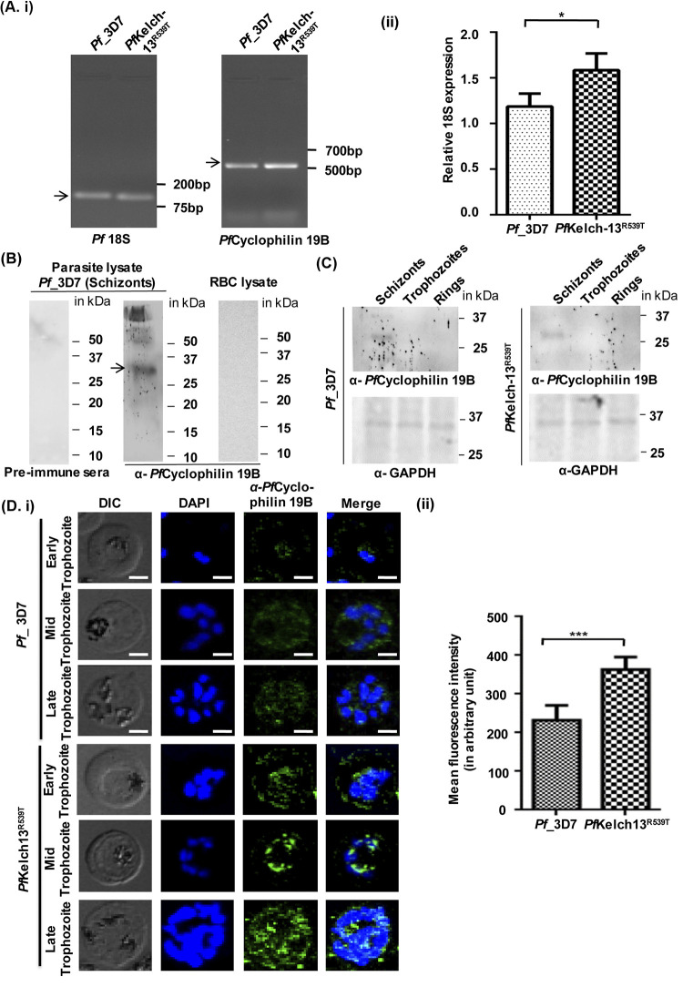 FIG 4