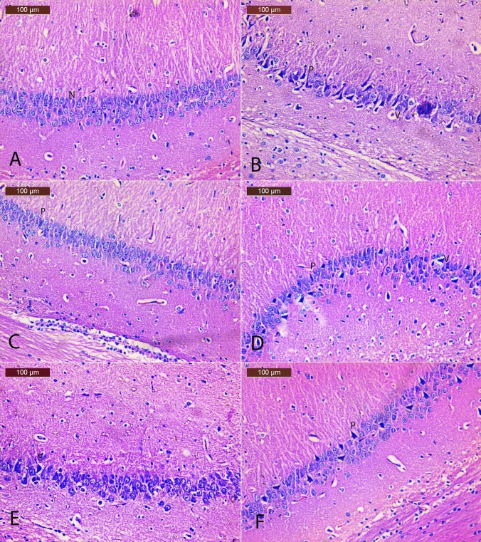 Fig. 4