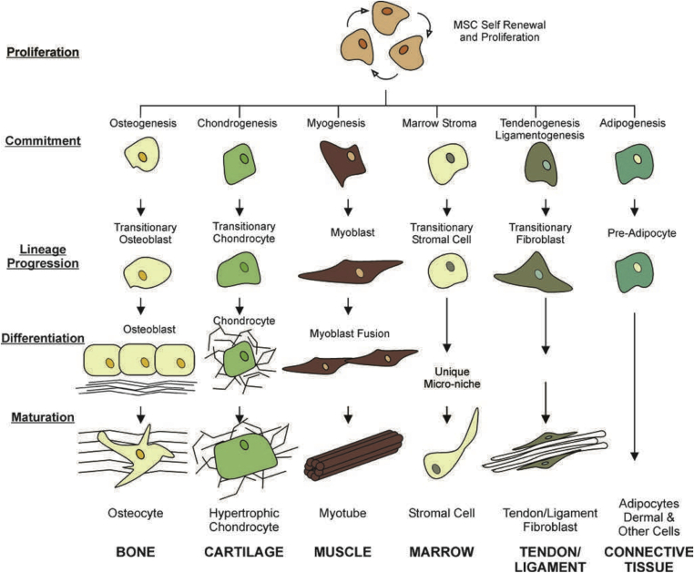 Fig. 3