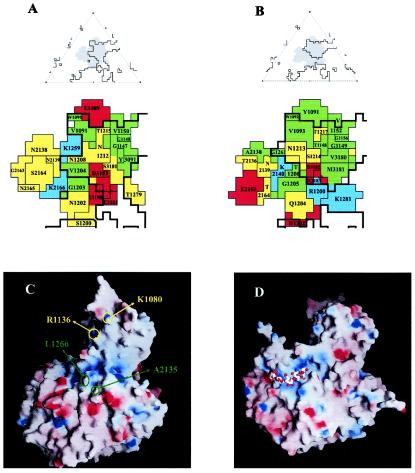 FIG. 4.