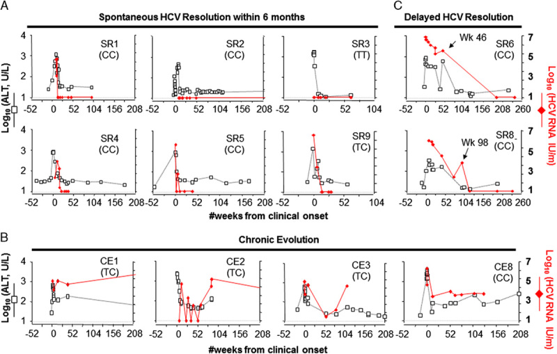 FIGURE 3