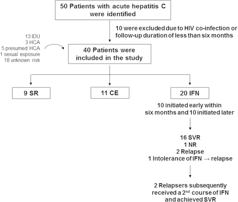 FIGURE 1