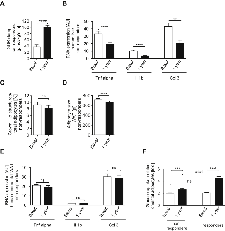 Figure 6