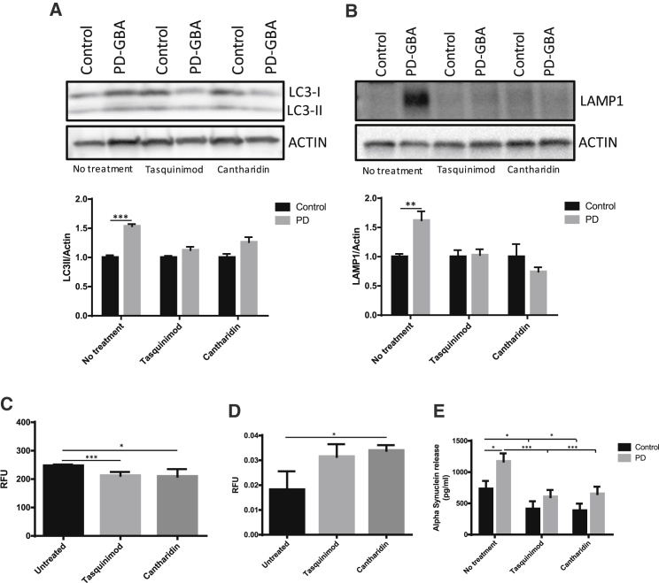 Figure 6