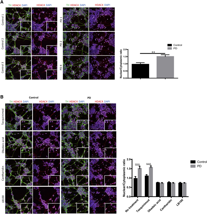 Figure 4