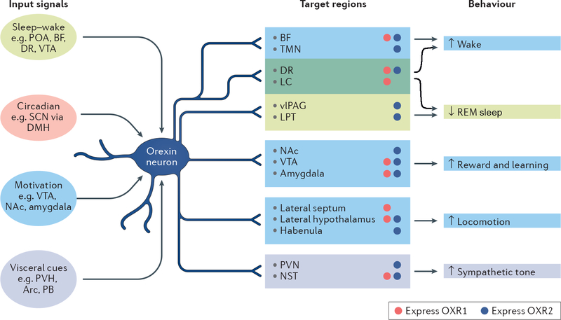 Fig. 2 |