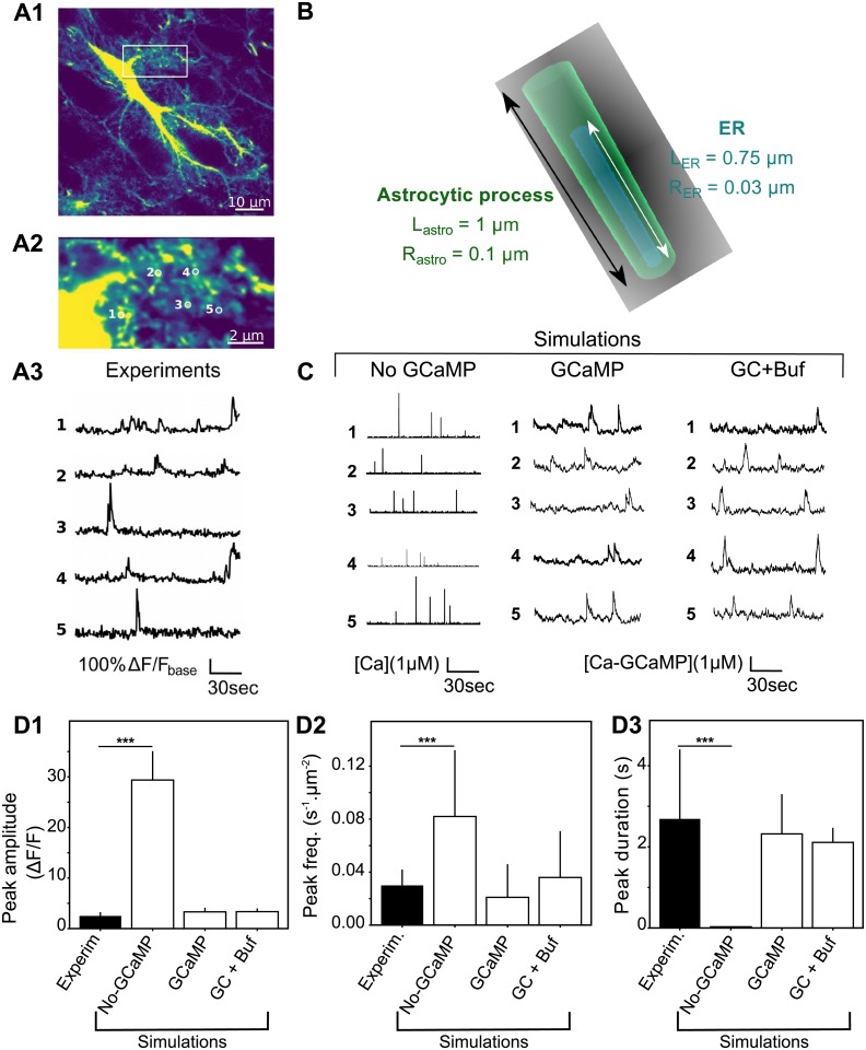 Fig 6