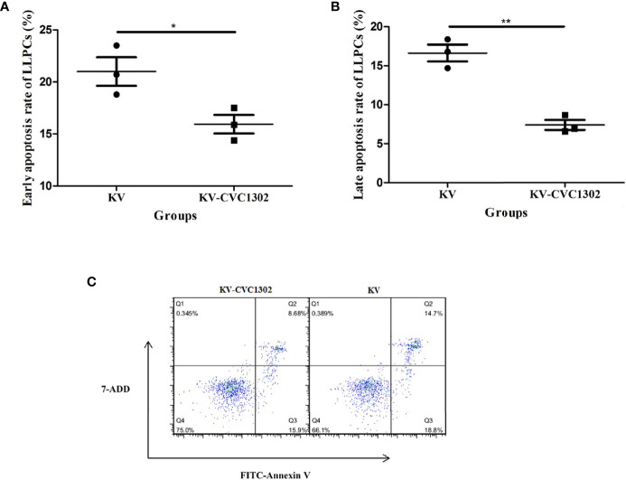 Figure 5