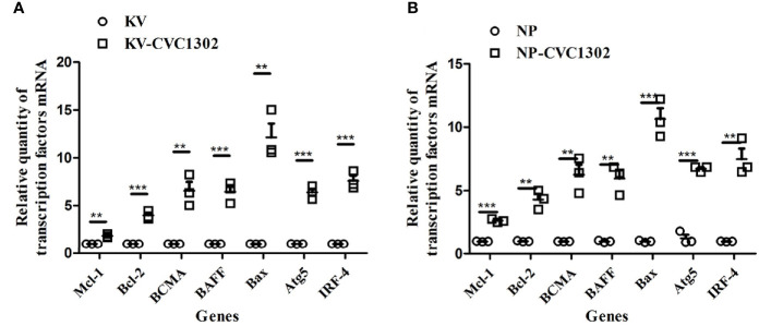 Figure 7